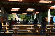 IMG_2309